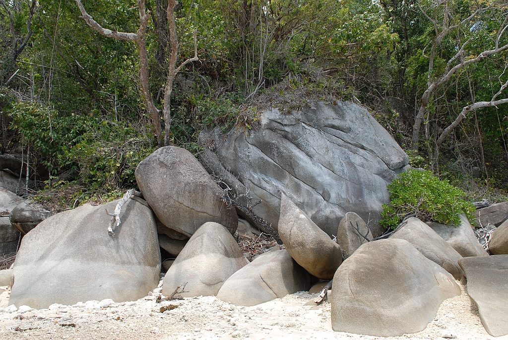 0896 Fitzroy Island.jpg